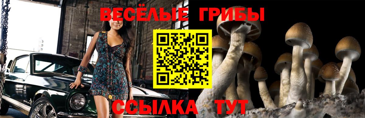 Псилоцибиновые грибы прущие грибы Южноуральск